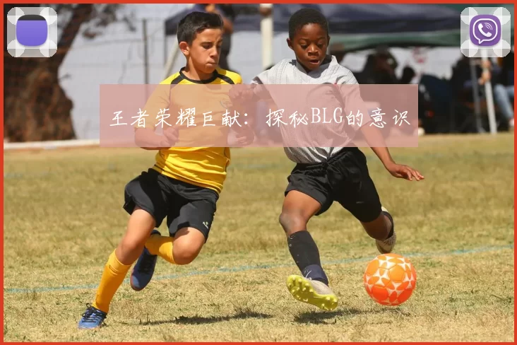 王者荣耀巨献：探秘BLG的意识