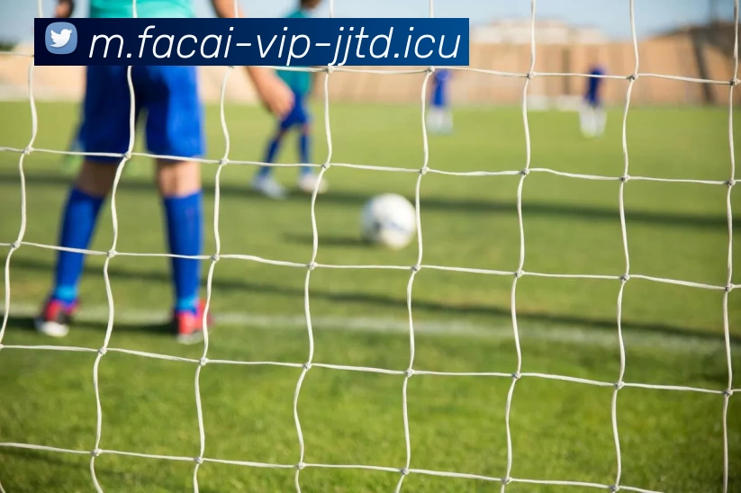 爱游戏体育发展历程